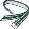 Collarín 130x4 cm verde/blanco