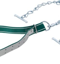 Sujeción con juego de cadenas para novillos, 150x5cm