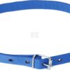 Cinta de señaliz. azul 120cm