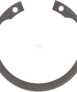 Elastic ring