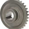 Rueda de cadena