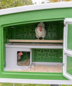 Gallinero móvil plástico 119x96x162 cm 19 Gallinero móvil plástico 119x96x162 cm