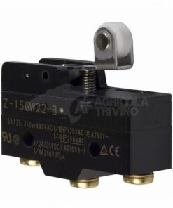 Microinterruptor 4 Microinterruptor