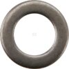 Anillo de muelle