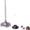 Intake valve