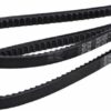 Conjunto de correas