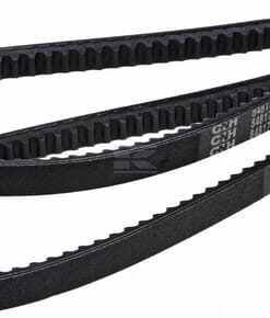 Conjunto de correas