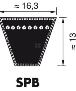Belt