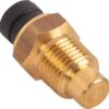 Interruptor temperatura 5 Interruptor temperatura