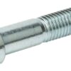 Tornillo Bertolini