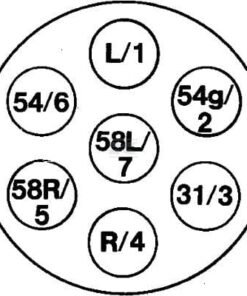 Conector 7 polos