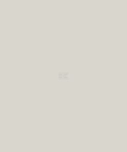 Pintura, blanco grisáceo RAL 9002, 1 L