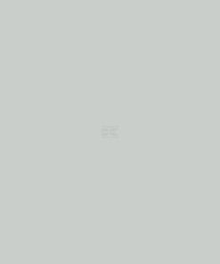 Pintura RAL 9018, blanco papiro, 1L, Kramp