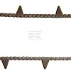 Cadena transportadora