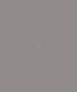Pintura para LANDINI, gris plateado, 1 L