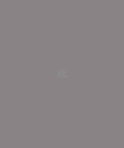 Pintura para MASSEY-FERGUSON, color gris metalizado, aerosol 400 ml