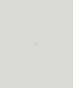 Pintura para RENAULT 319, color blanco, 1 L