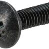 Screw