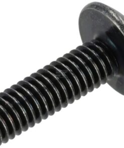 Screw