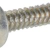 Screw