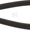 Correa trapezoidal