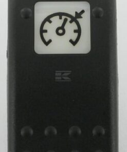 Rocker switchtop cruise control
