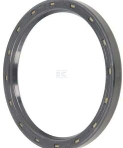 Seal SC 100x120x10 NBR