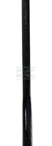 Mango Brumby 5 Mango Brumby