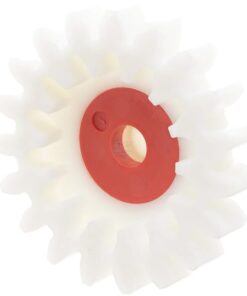 Piñón