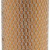 Filtro de aire int. Fleetguard
