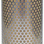 Filtro de aire int. Fleetguard