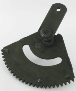 Segmento dentado