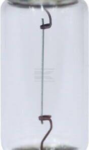 Bombilla Convencional tubular 12V 5W SV8.5 Kramp