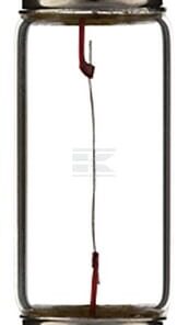 Bombilla 24 V 3 W SV7 8 X 31