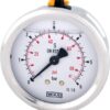 Glycerine pressure gauge 63 mm 6 bar, rear mount