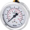 Glycerine pressure gauge 63 mm 6 bar, rear mount