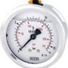 Glycerine pressure gauge 63 mm 16 bar, rear mount
