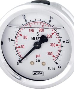 Glycerine pressure gauge 63 mm 25 bar, rear mount