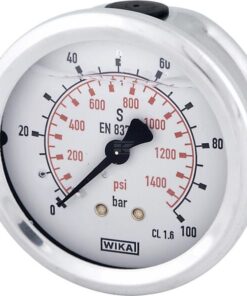 Glycerine pressure gauge 63 mm 100 bar, rear mount