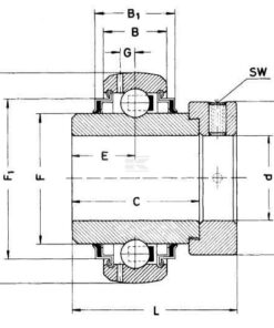 Inserto de rodamiento 40 x 80 x 56,3 SKF