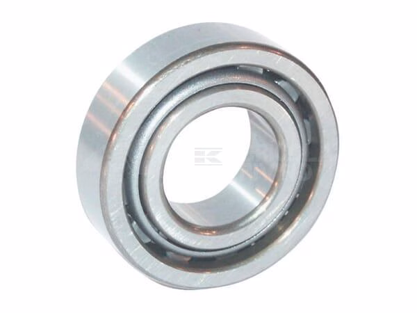 Cylindrical roller bearing 240x360x56mm SKF