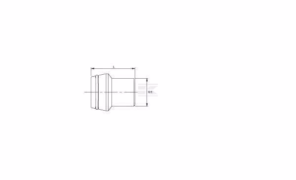 Tapón ciego 6LS SS