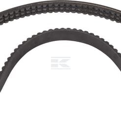 Correa