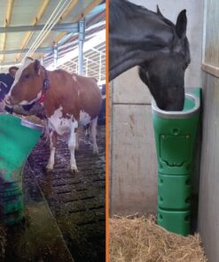 Sop. beb. caballos Normandy