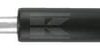 Amortiguador de gas L455,0 mm 750N Stabilus