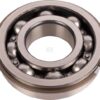 Rodamientos de bolas (1 anillo)