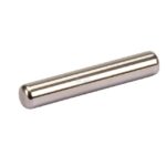 Rodillo cilíndrico 5x14,5 mm