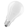 Bombilla LED 17 W E27 840