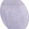 Disco para colza de 70 agujas Ø1,1mm
