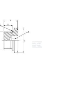 Tapón a rosca 3/8 BSP